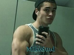 MikeStud