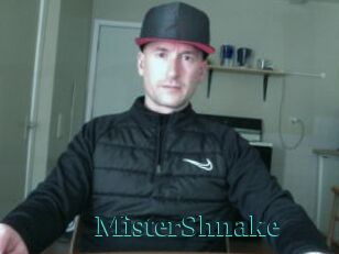 MisterShnake