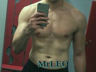 MrLEO