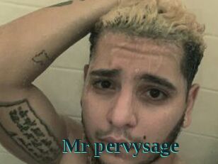 Mr_pervysage