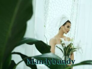Mandybandy