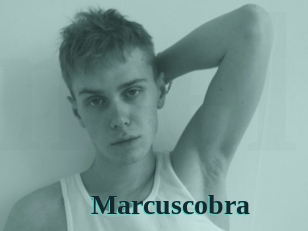 marcuscobra Melody Melons