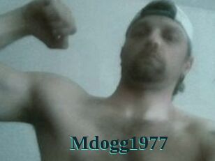 Mdogg1977