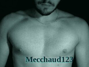 Mecchaud123