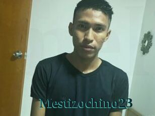 Mestizochino23