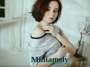 Miniamely