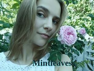 Mintleaves