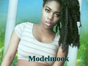 Modelmook