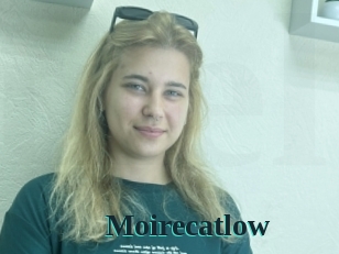 Moirecatlow
