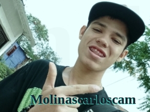Molinascarloscam