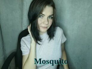 Mosquito