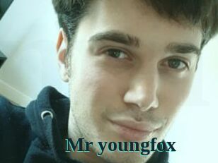 Mr_youngfox