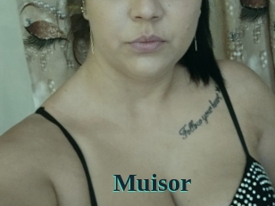 Muisor
