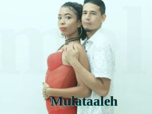 Mulataaleh