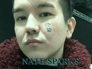 NATE_SPARKS