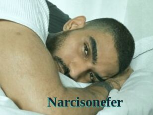 Narcisonefer