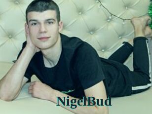 NigelBud