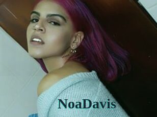 NoaDavis
