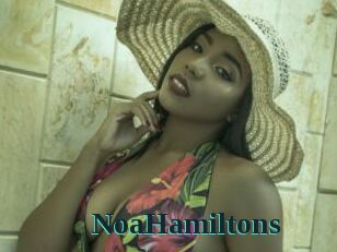 NoaHamiltons