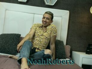 NoahRoberts