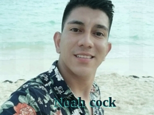 noah_cock Melody Melons