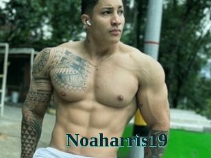 Noaharris19