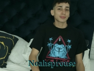 Noahsprouse