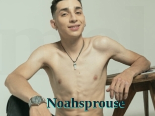 Noahsprouse
