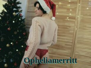 Opheliamerritt