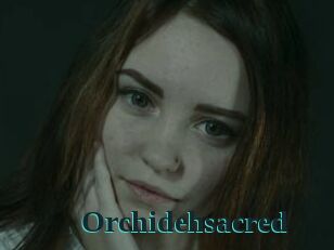 Orchidehsacred
