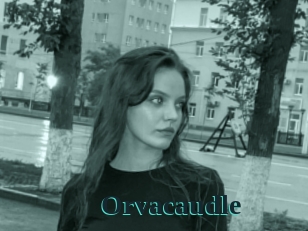 Orvacaudle