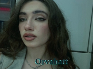 Orvahatt