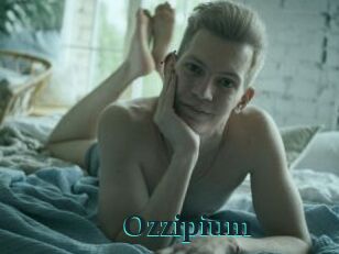 Ozzipium