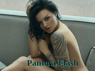 Pantera_Flash
