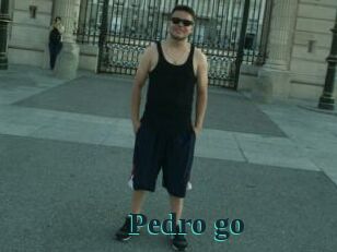 Pedro_go