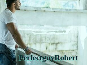 PerfectguyRobert