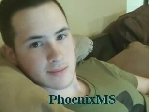 PhoenixMS