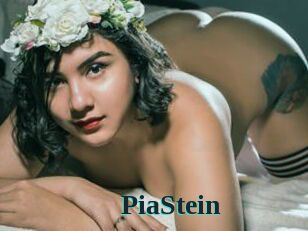 PiaStein