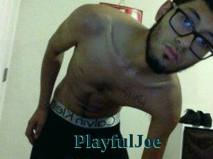 PlayfulJoe