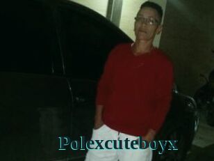 Polexcuteboyx