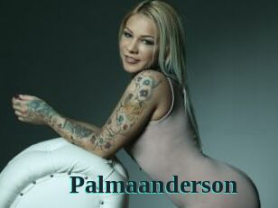 Palmaanderson