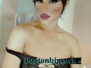 paytonbigcock Melody Melons