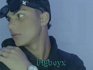 Pigboyx