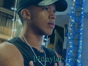 pittaylor Melody Melons