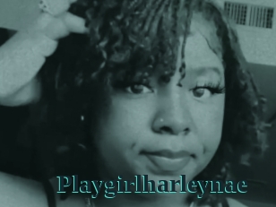 playgirlharleynae Melody Melons