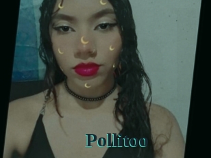Pollitoo