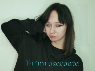 Primrosecoote