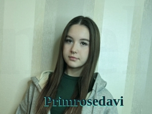 Primrosedavi