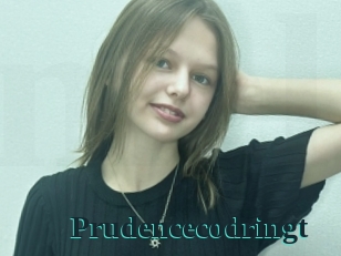 Prudencecodringt