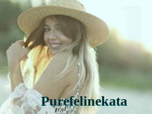 Purefelinekata